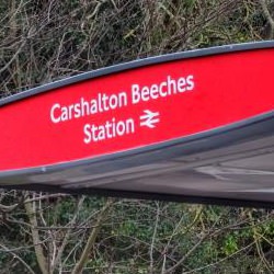 Picture Of Transport for London leaves Carshalton passengers perplexed with bus stop mix-up